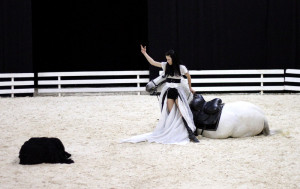Spectacle equestre